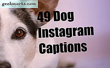 49 Bildunterschriften, um die Persönlichkeit Ihres Hundes perfekt für Instagram festzuhalten