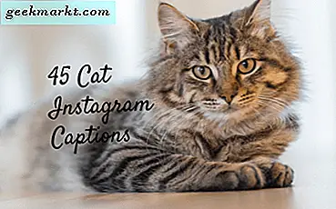 45 Cat Captions voor Instagram - Meow