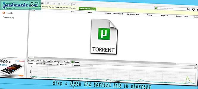 Alles, was ein Anfänger über Torrents wissen muss
