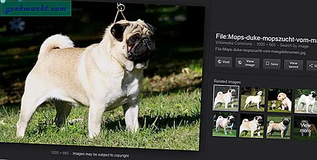 Google'ın Görsel Arama'da 'Resmi Görüntüle' düğmesi nasıl geri getirilir?