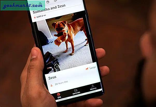 10 ứng dụng thú cưng tốt nhất cho chủ sở hữu thú cưng dày dạn