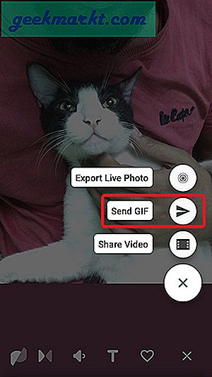 Anda mungkin memiliki banyak Live Photos yang memiliki banyak momen gila. Sekarang Anda dapat Mengubah Live Photos menjadi GIF dan membagikannya dengan cara berikut.