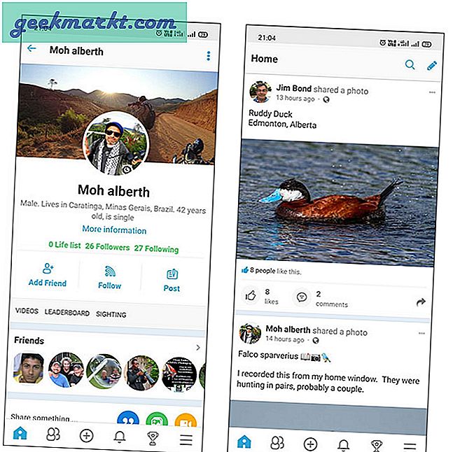 Beste Vogelbeobachtungs-Apps 2020 (Android und iOS)