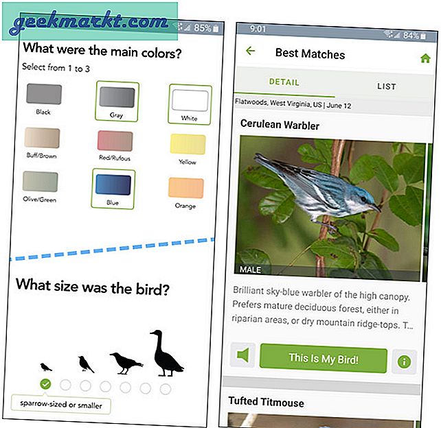 Beste Vogelbeobachtungs-Apps 2020 (Android und iOS)